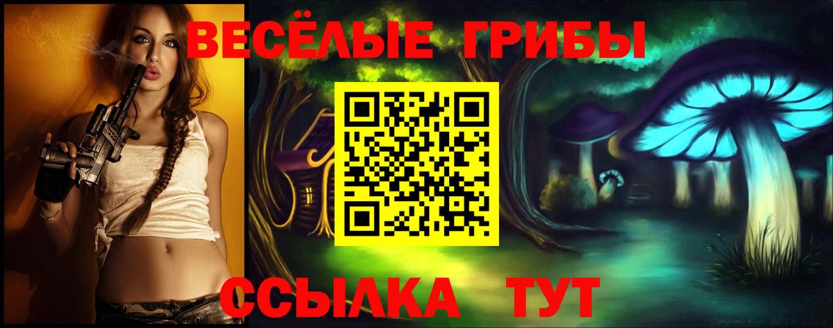 Якутск  закладка  Вход с VPN  Галлюциногенные грибы MAGIC MUSHROOMS 